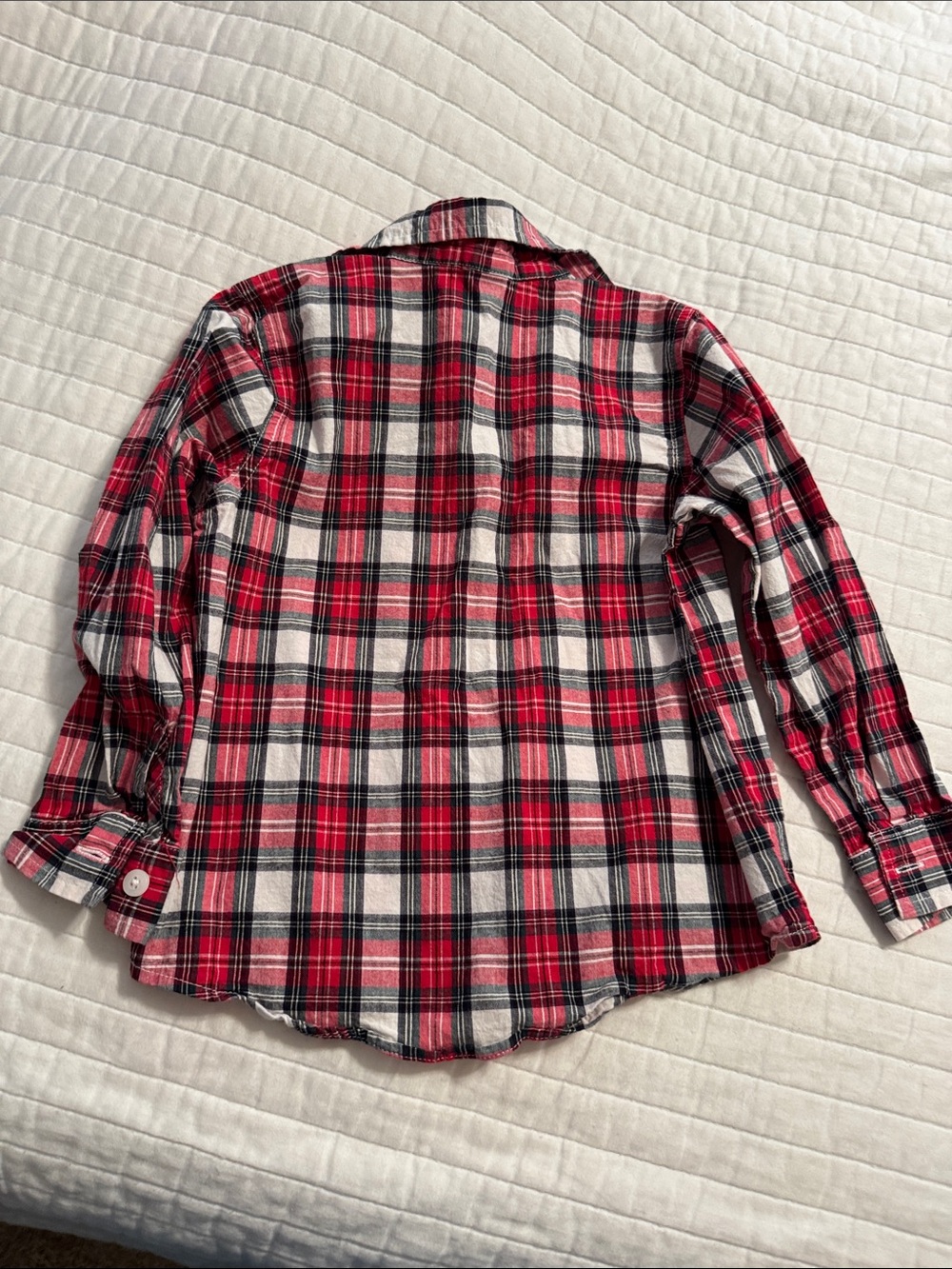 Button-Down Shirts - Picture 4 of 8